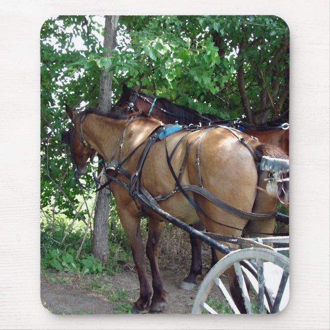 Amish Pferde Mousepad (Vorne)