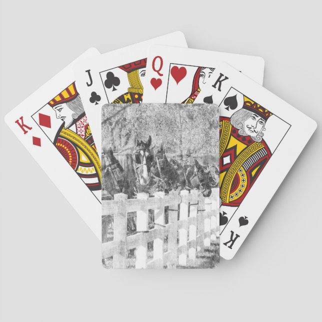 Amish Pferde schwarz-weiß Spielkarten (Rückseite)