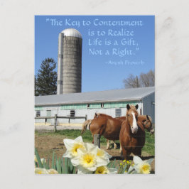 Amish Postcard Life ist ein Geschenk. Fügen Sie Ih Postkarte