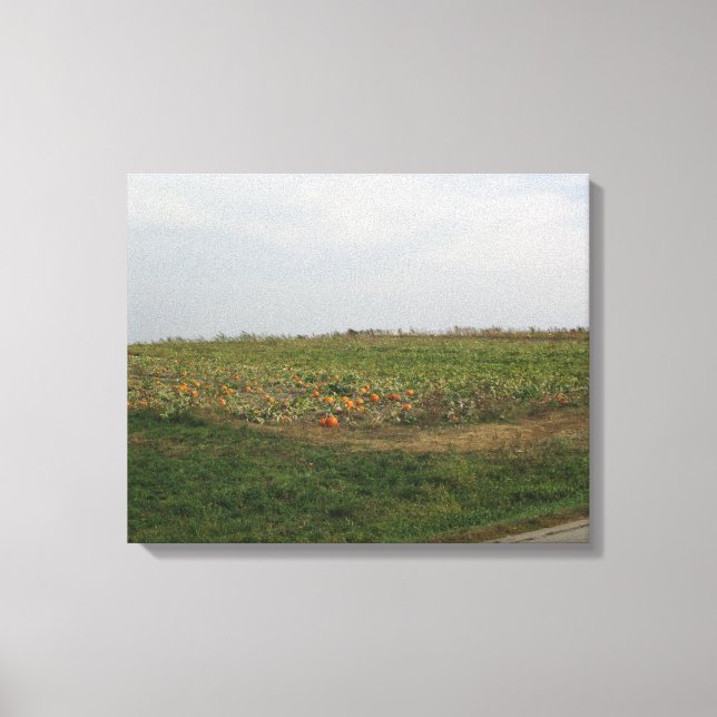 Amish Pumpkin Patch Farm Fotografie Wall Art Leinwanddruck (Vorderseite)