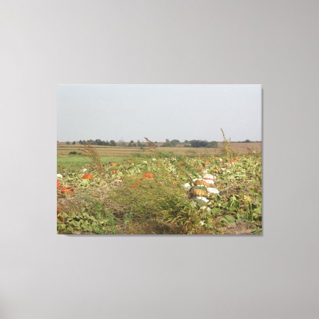 Amish Pumpkin Patch Farm Fotografie Wall Art Leinwanddruck (Vorderseite)