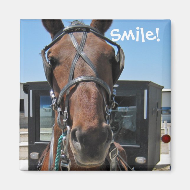 Amish Smile; o) Magnet (Vorne)