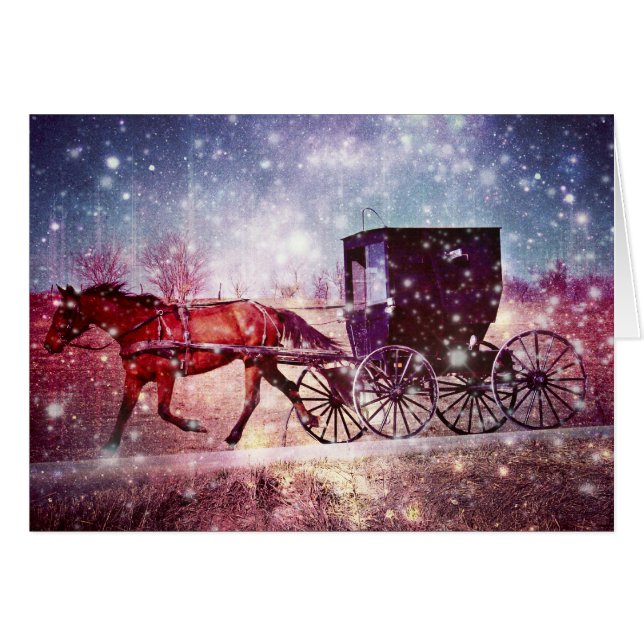 Amish Space (Vorderseite (Horizontal))