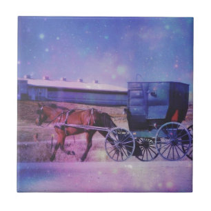 Amish Space Fliese