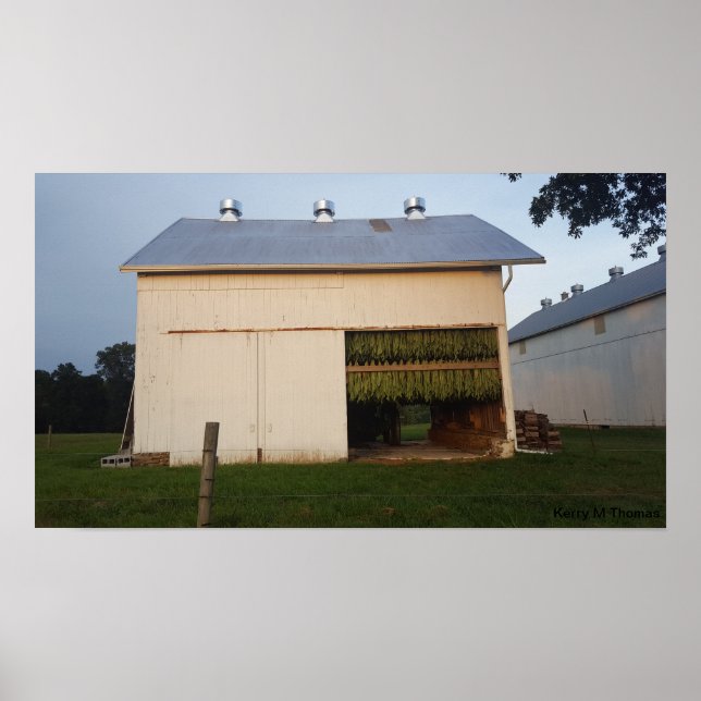 Amish Tobacco Barn/Pennsylvania Poster (Vorne)