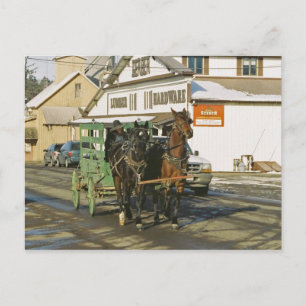 Amish U-Haul Team-Postcard Postkarte