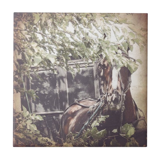 Amish Warten Horse Fliese (Vorderseite)