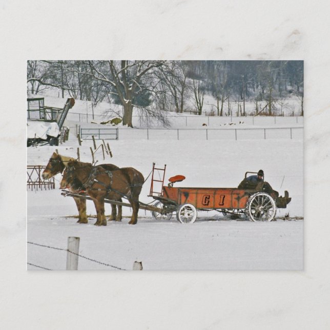 Amish Winter Bauer auf Spreader-Postcard Postkarte (Vorderseite)