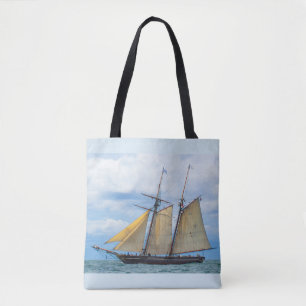 Amistad unter Segeln