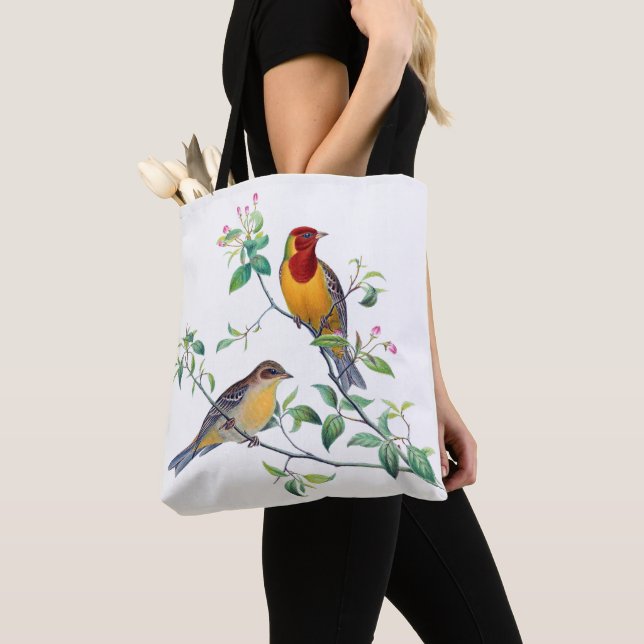 Ammer Vögel auf Zweigen (Von Nahem)