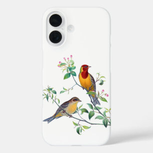 Ammer Vögel auf Zweigen iPhone 16 Hülle