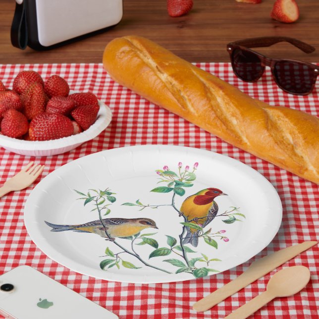 Ammer Vögel auf Zweigen Pappteller (Picknick)