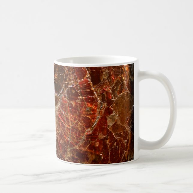 Ammolite Ammonit Tasse (Rechts)