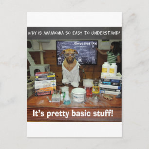 Ammoniak Postkarte