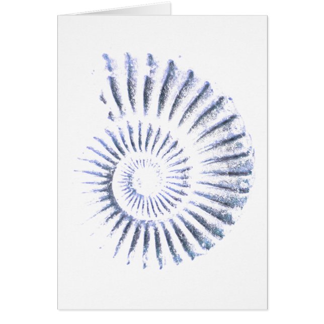 Ammonit-Fossil (Vorne)