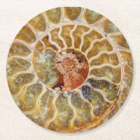 Ammonit-Fossil-Untersetzer