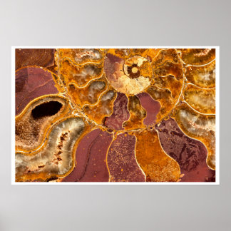 Ammonit-Fossil-Wandkunst | Erdtöne-Abstrakt Poster