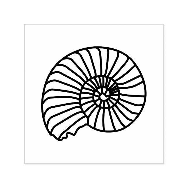 Ammonit-Fossilien-Schale Strand Bild Nur Permastempel (Design)