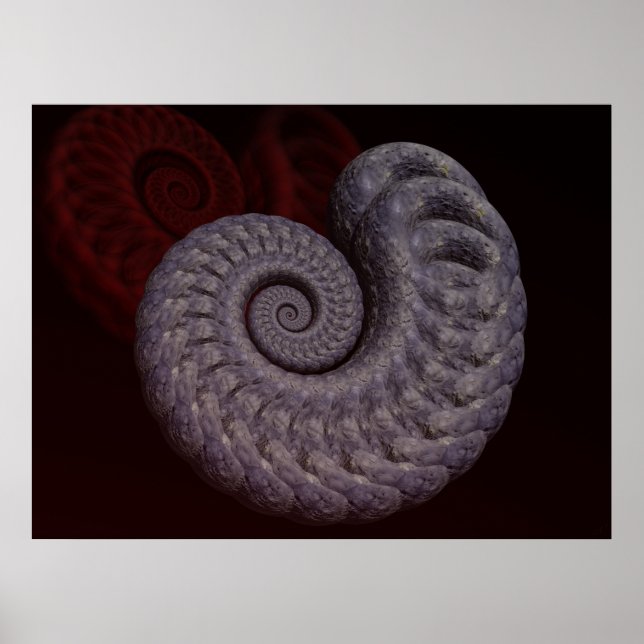 Ammonit-Muschel Poster (Vorne)