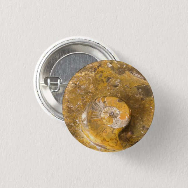 Ammonit und andere Fossilien im Foto Rock Button (Vorne & Hinten)