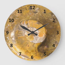 Ammonit und andere Fossilien in der Große Wanduhr