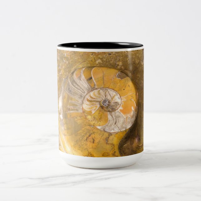 Ammonit und andere Fossilien in Gestein Zweifarbige Tasse (Mittel)