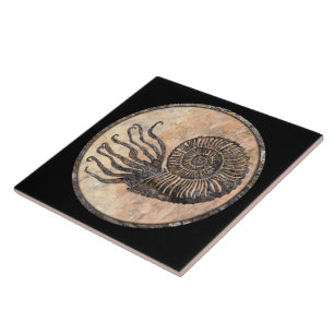 Ammonite Fossil Keramik Tile Fliese