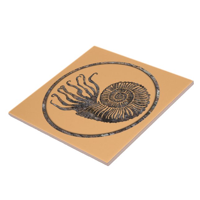 Ammonite Fossil Keramik Tile Fliese (Seite)