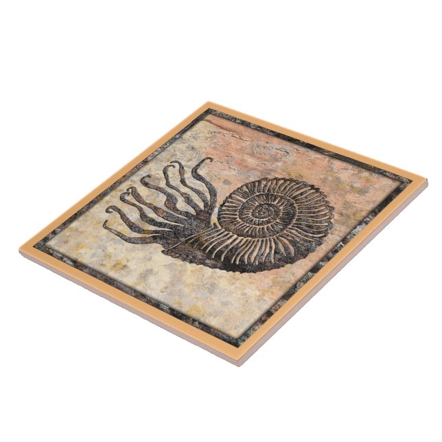 Ammonite Fossil Keramik Tile Fliese (Seite)