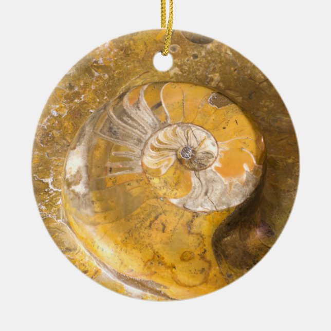 Ammonite Fossil Rock Nature Fotografy Keramik oder Keramik Ornament (Vorne)