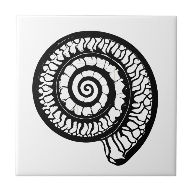 Ammonite Fossil - Spiral Seashell Fliese (Vorderseite)