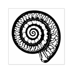 Ammonite Fossil - Spiral Seashell Gummistempel