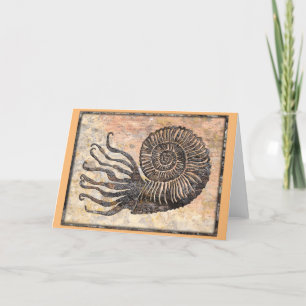 Ammonite Fossil Talking Canyons, New Mexico Card Karte