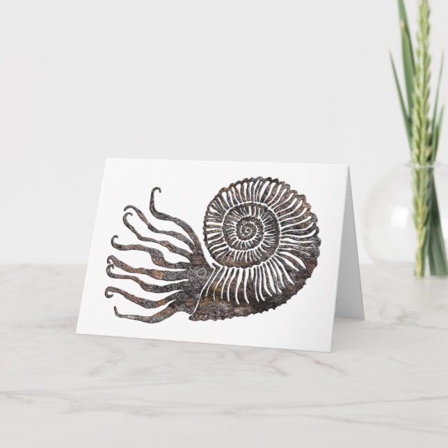 Ammonite Fossil Talking Canyons, New Mexico Card Karte (Vorderseite)
