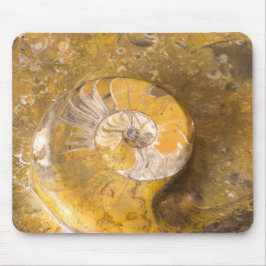 Ammonite Fossilien in Rock Fotografy Rockhound Mousepad