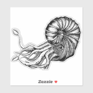 Ammonitkleber Aufkleber