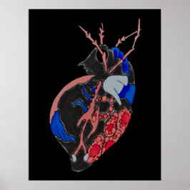 Amoeba Minx: Venen und Gefäße Poster