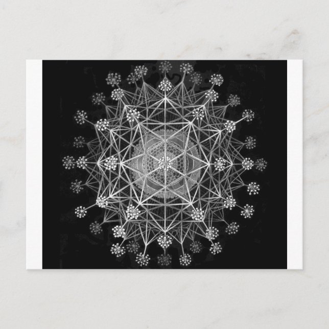 Amoeboid-Protozoen Postkarte (Vorderseite)