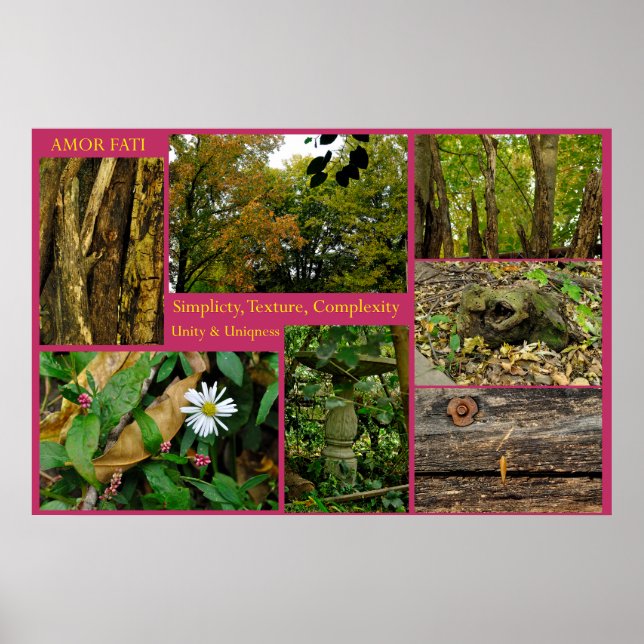 Amor Fati Poster (Vorne)