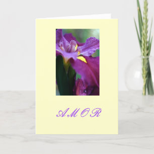 "Amor " Feiertagskarte