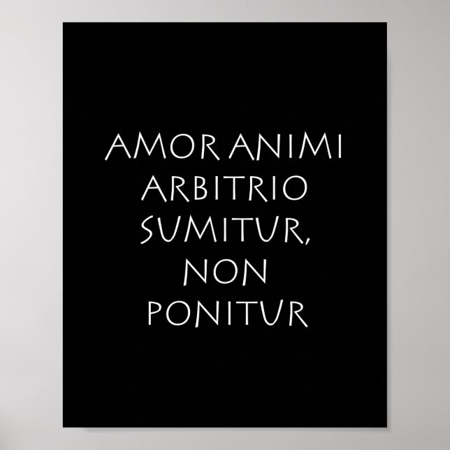 Amor Poster (Vorne)