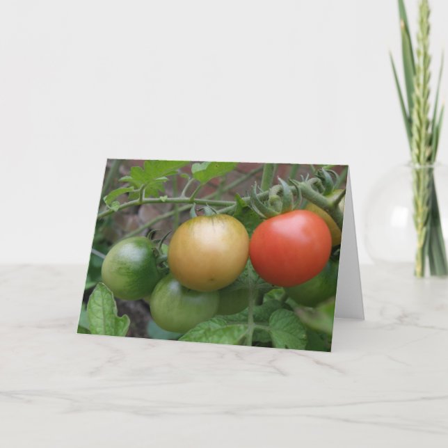 Ampel-Tomate-Gruß-Karte Karte (Vorderseite)