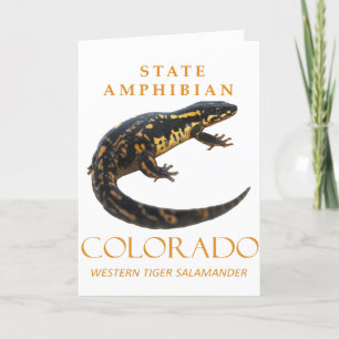 Amphibien Colorado Der Western Tiger Feiertagskarte