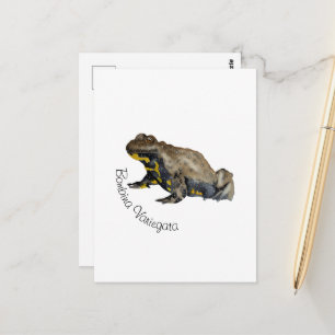 Amphibien, Reptilien und Insekten Aquarell Postkarte