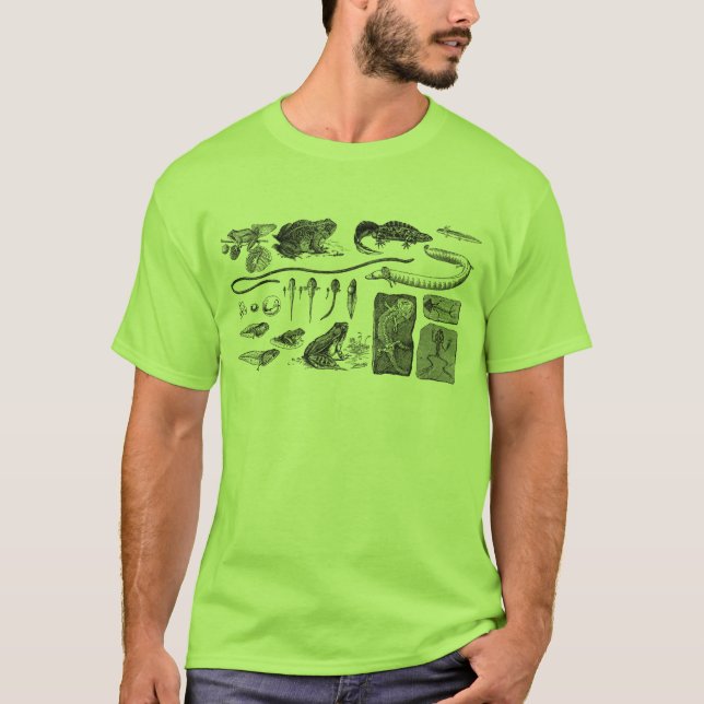 Amphibisch Evolution T-Shirt (Vorderseite)