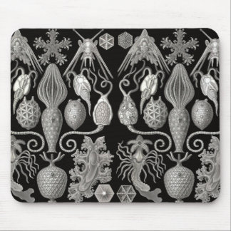 "Amphoridea, oder Star-Animals" Mousepad