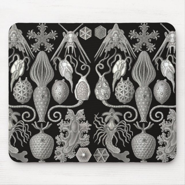 "Amphoridea, oder Star-Animals" Mousepad (Vorne)