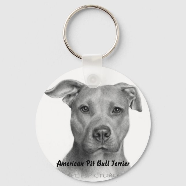 AMPT Schlüsselkette Schlüsselanhänger (Vorderseite)