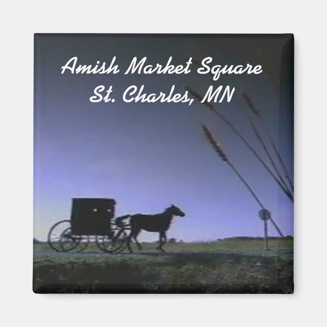 AMS-Magnet Magnet (Vorne)