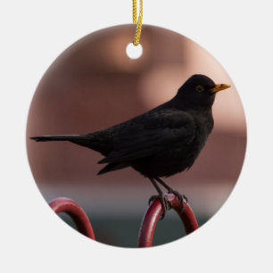 Amsel Keramikornament